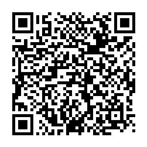 在树木丛生的森林中以让人无法理解的速度和方式不断的躲闪着怪物的袭击二维码生成