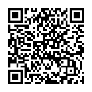 在此刻这种圣物消失庇护所失效暗黑潮汐即将来袭的时段二维码生成