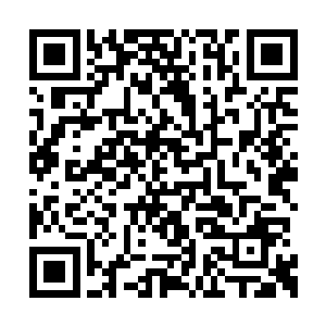 在毒性上必定要比地狱花本身的毒性更强上数倍二维码生成