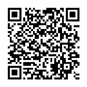 在毫无希望的铤而走险身死族灭和咬着牙挨上几棍子之间的选择二维码生成