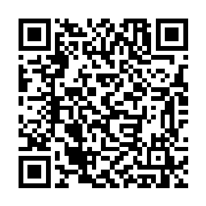 在河北一次干挺了咱们……田虎请来的数千夏国亡骑二维码生成