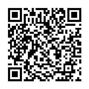 在法比斯的脚下化为一座高达数十米的由白骨垒成的王座二维码生成