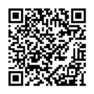 在流墨墨变回血妖姬的瞬间它似乎就感觉到危险二维码生成