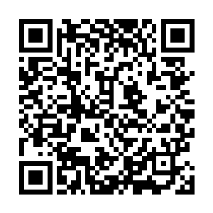 在流墨墨隔三差五听着人鱼妹纸们不停汇报着无尽海域中二维码生成