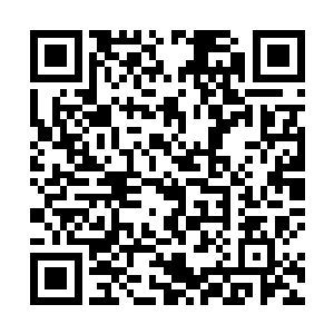 在火雀一族的人还沉陷在浓浓的哀伤中沒有恢复过來时二维码生成