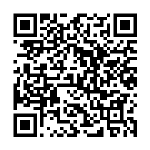 在热水里把黄豆芽和绿豆芽一起炒熟放在大海碗的底下二维码生成