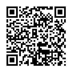 在然后去修炼的武士和杀手也开始禀报自己的修炼情况二维码生成