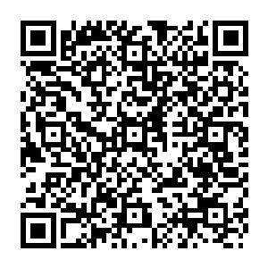 在燕州的东南部如巨龙翻滚一样在苍茫的燕州大地上来了两个上千公里的巨大回旋二维码生成