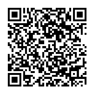 在王宫外等候的泽梅尔的司机一看到自家的老爷满脸鲜血的从王宫里走出来二维码生成