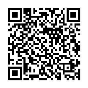 在疯狂的倾泻剑雨攻击第二位无极境的仙家两个眨眼的时间后二维码生成