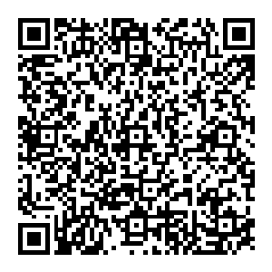 在白兰摆出这副排场之后竟然没有一个人猜这个看起来酷炫狂拽的美貌青年的身份其实是他们的新任董事――当然他本来也不是就是了二维码生成