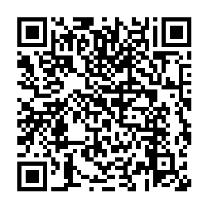 在皇宫里你不是要和我说为何凤柏轩要几次三番的置你于死地的吗二维码生成