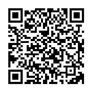 在监控室里自顾不暇的乔伊通过耳麦对着后台工作人员怒吼着二维码生成