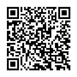 在真实与非真实的多重层面上对观者构成了挑战二维码生成