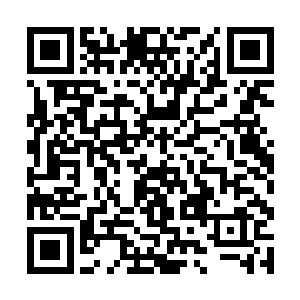 在确定了他疑似半妖的不纯血脉另一半是什么种族后二维码生成