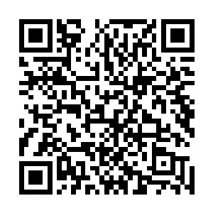 在神界之中的城市基本上都是一些宗门或者家族势力建立的二维码生成