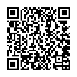 在空中变成了一个盾牌的模样卡在了许紫烟左小臂上二维码生成
