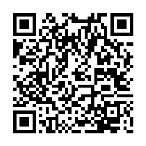 在第一眼就已被他洞悉了一切构造和运转的奥秘二维码生成