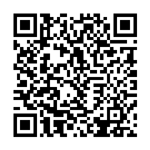 在红色翻滚岩浆旁的岩浆石上看到几株还没有开放的鬼梦游二维码生成