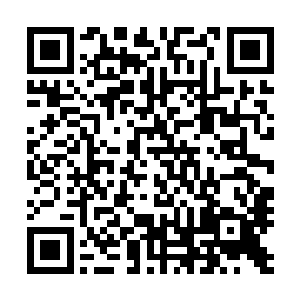在绝对的呆滞和傻愣的外表下早已有一套自己的算计……呵二维码生成