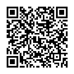 在绝对的实力面前大家也都只能够敢怒不敢言而已二维码生成