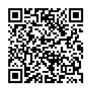 在脚下那满目的青翠而突然没了动静的叶片上梭视了一圈二维码生成
