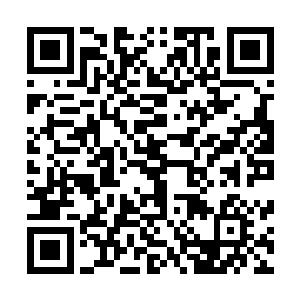 在自家阳台上给王志成打电话的邻居没看到楼下纠纷的原委二维码生成