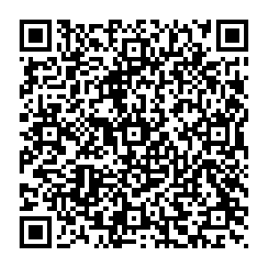 在自己从副县长升任县委常委同时兼任经开区党工委书记这个职务变化中陆为民究竟发挥了什么样的作用二维码生成