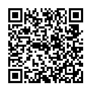 在自己眼前连蝼蚁都称不上的一个卑微弱小的修炼者二维码生成