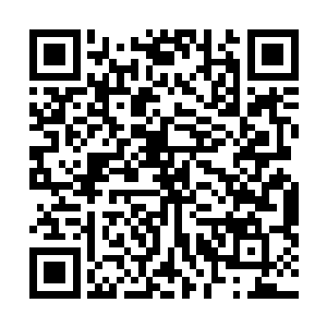 在艾莎这里又了解到了一些功德点和信仰之力的妙用之后二维码生成