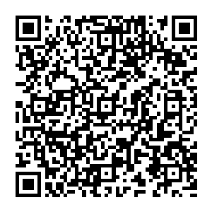 在若水之旁盘膝而坐 神识进入界珠当中 顿时被婉儿一把牵着來到西北之处 但见下方的大河 他心头澎湃二维码生成