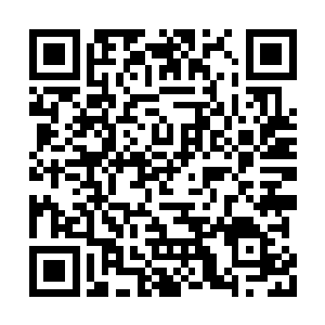 在血芒界与十寒古地并肩作战的孟静业在列……二维码生成