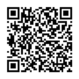 在这一个蝼蚁一般的家伙手里……竟是随手可以弃置二维码生成