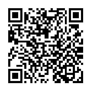 在这一场是非漩涡中只是被当成吸引沐南斗的筹码而已二维码生成