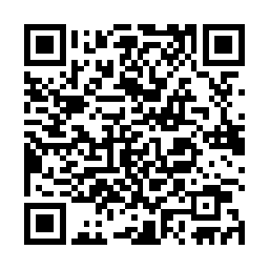 在这个世界生活的每一个人都像是被下了咒的野兽一样二维码生成