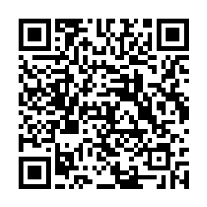 在这半个多月的时间中人类这边的实力不断的提升二维码生成