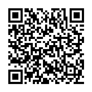 在这巨大的湖泊周围正有无数的魔族在四处搜寻着什么二维码生成