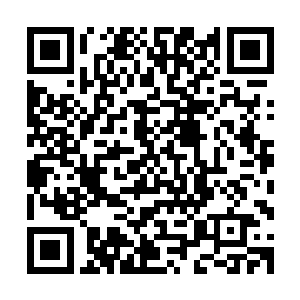 在这样一个陌生的国度我做什么事情都不会平白无故无的放矢二维码生成