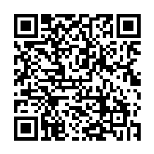 在这番惨烈的争斗之中・修仙世家和散仙盟却按兵不动二维码生成