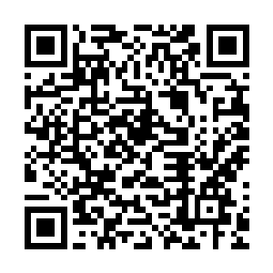 在这里不但遇到了玄黄巨兽而且还发现了如此珍贵的玄黄金莲二维码生成