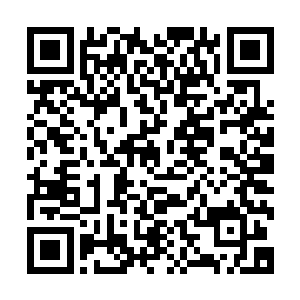 在这黑山老妖体型几乎都已经被生生消磨了快三分之一的时候二维码生成