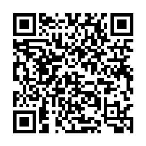 在逃亡的过程中结识了秦洛的父亲也就是耶林浩天二维码生成