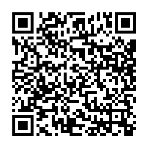 在那个被他用血魔灌顶大法控制的血色人影从铁爪虎的腹中爆杀而出之前二维码生成