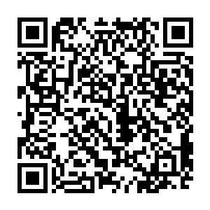 在那城墙之上的战士们则是迅速的调整那些镶嵌着变异兽晶核的魔导大炮二维码生成