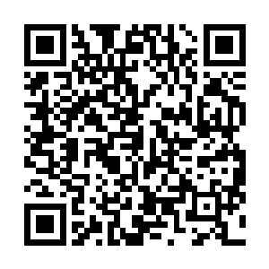 在那城墙之上的绿叶堡炼体士根本没有经历过血腥的战斗二维码生成