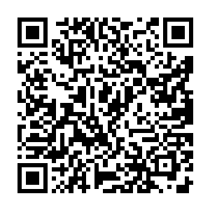 在那棕色大狗僵住的惊愕注视中和惊慌失措的米奇和米妮惊讶而狂喜的注视中二维码生成