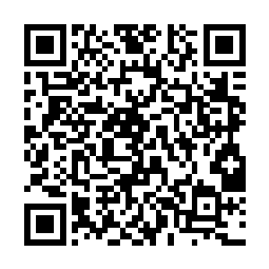 在那蒲公英的上面密密麻麻的布满着很多细微的虫卵二维码生成