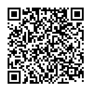 在释放出南南鸟的时候龙傲天已经提前在它的身上下了和兔子一样的阵法二维码生成