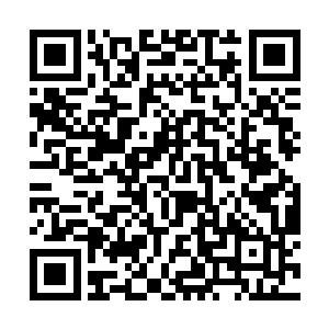 在里面经过苦难的一小时果而拍拍自己的两只小爪子二维码生成