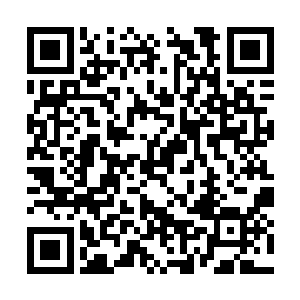 在钻石联盟面前他们根本没有任何东山再起的可能二维码生成